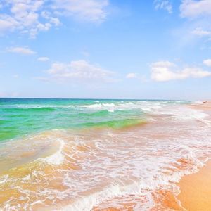 Meet your Posher, Amaris